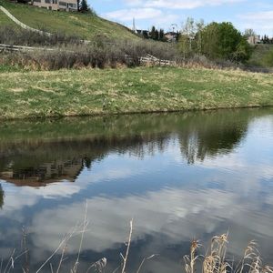 Meet your Posher, Leora